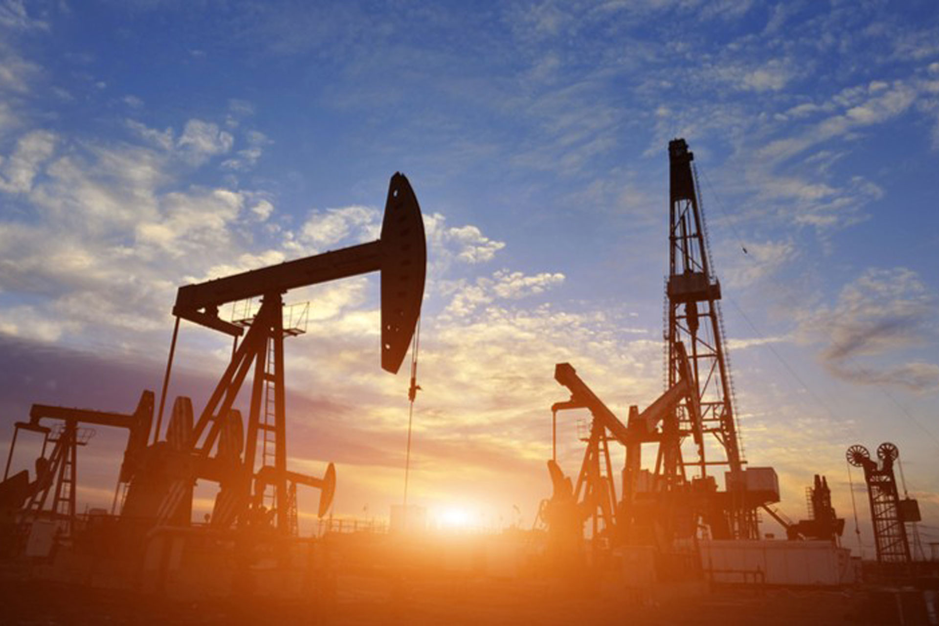 petromal